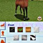 Grooming horse in i love horse riding academy game