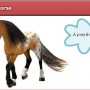 A Virtual Horse - gem - A pony from the game