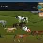 Clever Kids: Pony world - game for PC, Wii, NDS