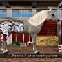 Grooming horse in barbie race and ride