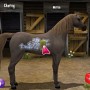 Grooming pony in pony friends 2 game