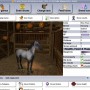 A Virtual Horse - the horse game